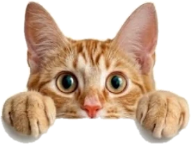 Gato laranja espiando com as patinhas apoiadas na borda